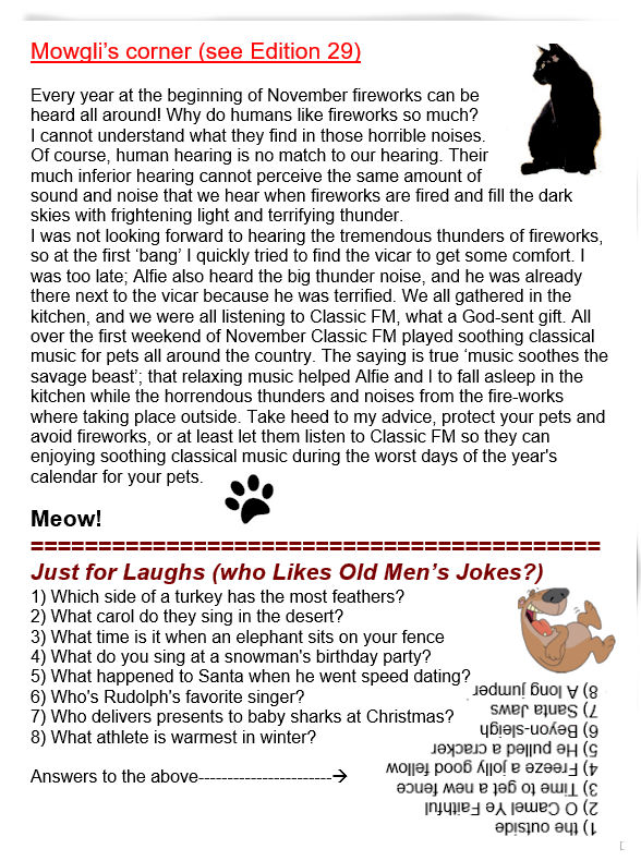 Edition30page3.jpg (35265 bytes)